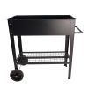 Aveyas Mobile Metal Raised Garden Bed Cart with Legs